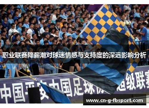职业联赛降薪潮对球迷情感与支持度的深远影响分析