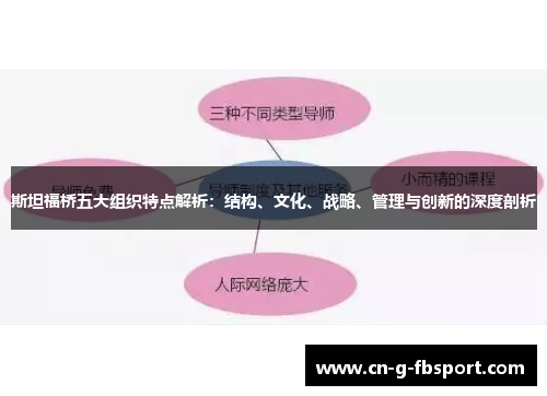 斯坦福桥五大组织特点解析：结构、文化、战略、管理与创新的深度剖析